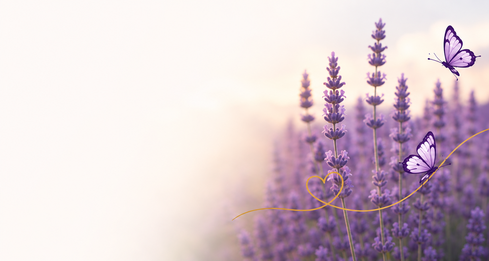 Lavender field with butterflies